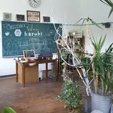 分校café haruhi