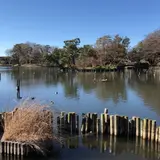 旧勝海舟邸洗足軒跡