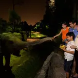 ナイトサファリ