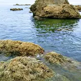 笹川流れ