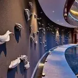 Auriga Spa