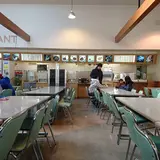 九重森林公園スキー場