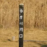 羽田の渡し