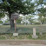 大道サクラ公園