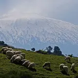 エトナ火山