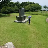 吾妻山公園 菜の花畑