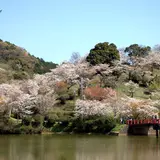 須賀神社