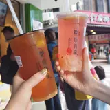 康青龍
