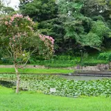 山田富士公園