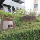 花ひろば（熱海御用邸跡公園）