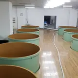 （株）一ノ蔵