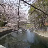 豊住橋（バス）