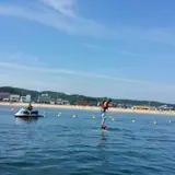 リアルハンモック