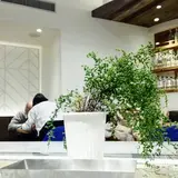 仙川食堂george (仙川食堂ジョージ)