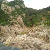 竜宮神社
