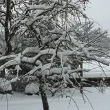 田部家土蔵群