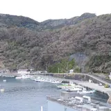 波浮港