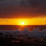 サンセットパームライン