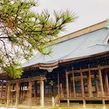 専照寺（中野本山）