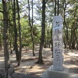 慶野松原