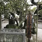 宮地嶽神社