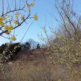 松田町寄自然休養村