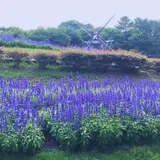 名城公園