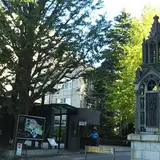 青山学院大学 青山キャンパス