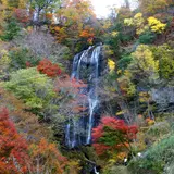 白滝