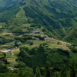 椎葉村