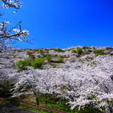 花立公園