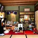 猫猫寺