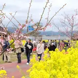 五ヶ瀬川