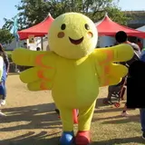 兵庫県
