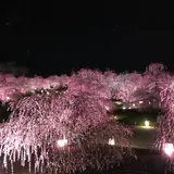 鈴鹿の森庭園