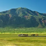 阿蘇山