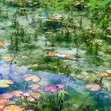 モネの池（名もなき池）