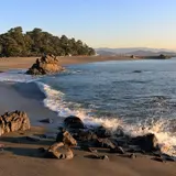 桂浜
