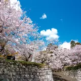 舞鶴公園