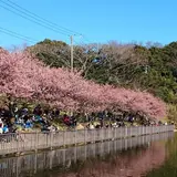 小松ケ池公園