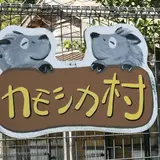 わんぱーくこうちアニマルランドアニマルギャラリー