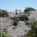 菊池公園