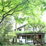 はけの森カフェ