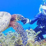 慶良間諸島周辺