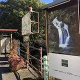 薬膳茶SoybeanFlour at きらら