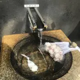 湧浦の湯壺