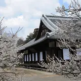 弘道館公園