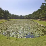 阿波岐原森林公園 市民の森「みそぎ池」