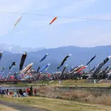 相川水辺公園（右岸）