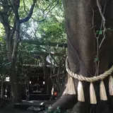 八大龍王水神
